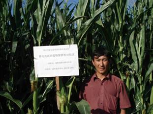 06年在阿勒泰地区玉米地的试验图片.jpg