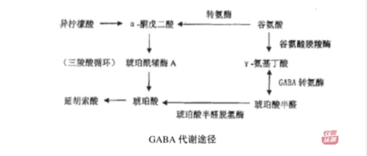 微信图片_20250510203623.png
