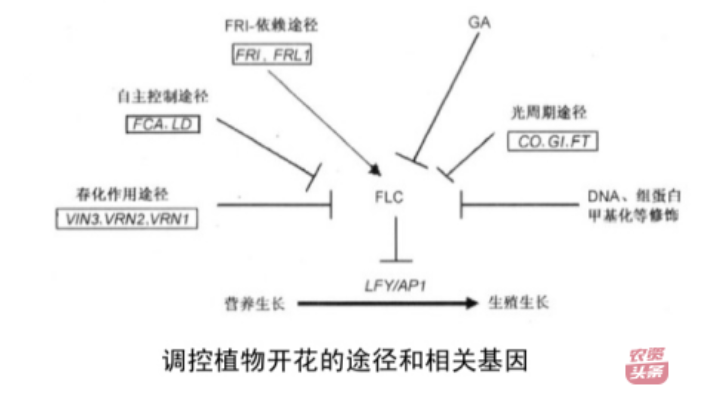 微信图片_20250510203623.png