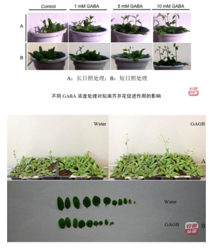 微信图片_20250510203623.png