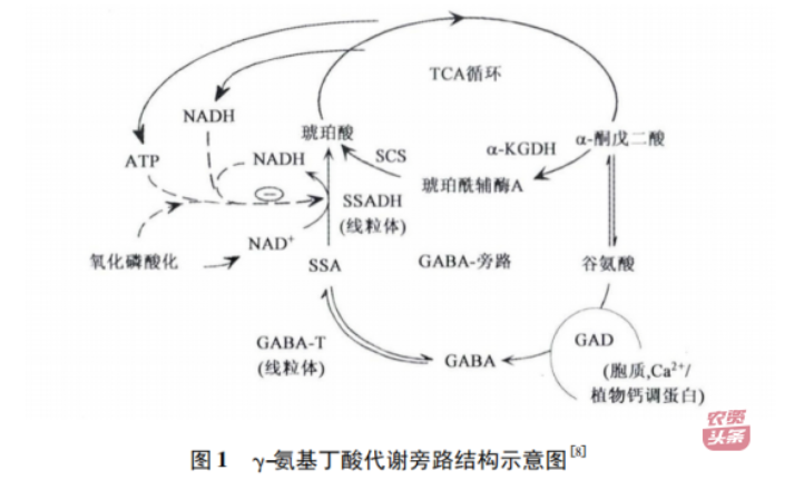微信图片_20250510203623.png